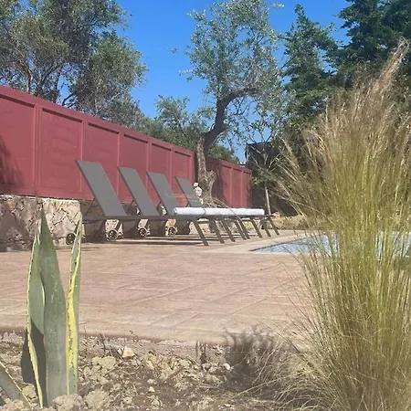 Nissi Collection 阿凯松