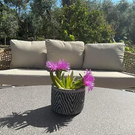 公寓式酒店 Nissi Collection 3*