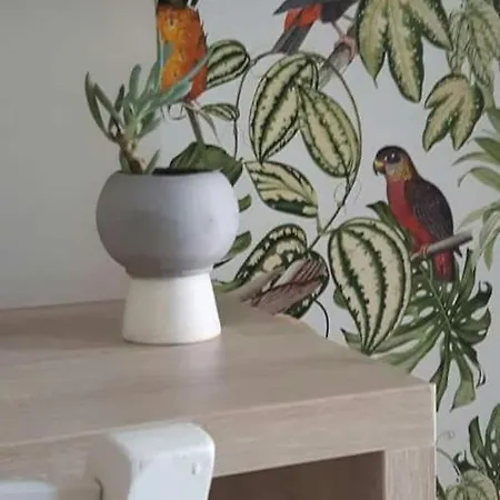 Апарт-отель Nissi Collection 3*