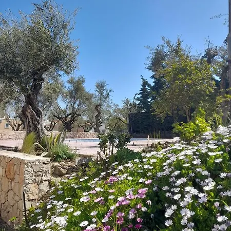 Lägenhetshotell Nissi Collection 3*