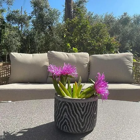 Lägenhetshotell Nissi Collection Argassi