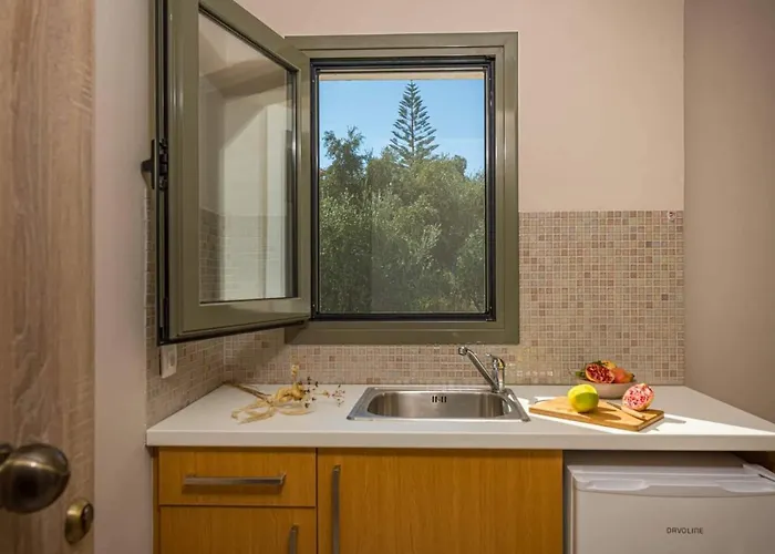 Nissi Collection Apart-hotel Argassi