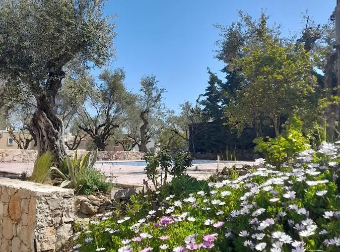 Apart-hotel Nissi Collection 3*