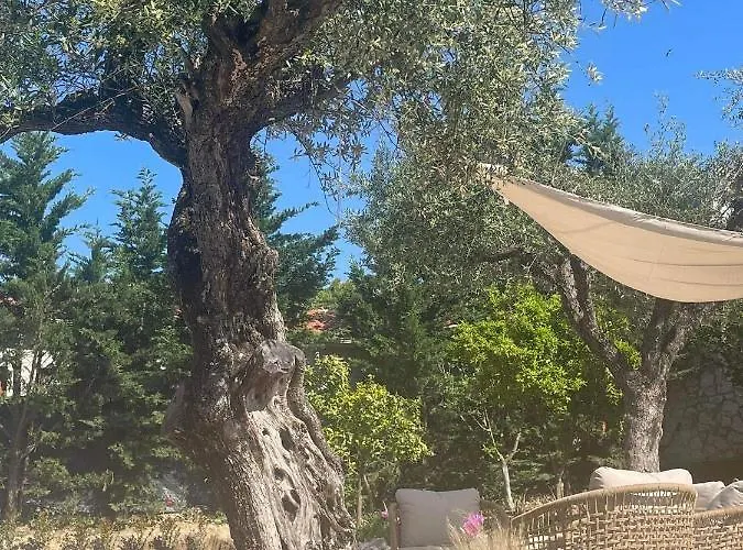 Apart-hotel Nissi Collection Argassi