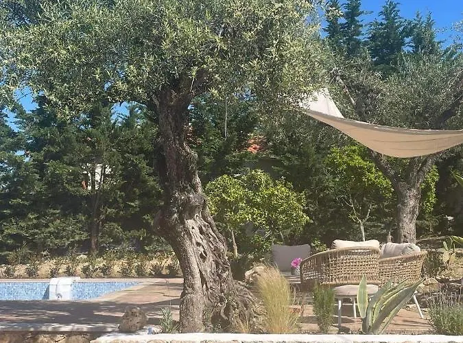 Nissi Collection Apart-hotel Argassi