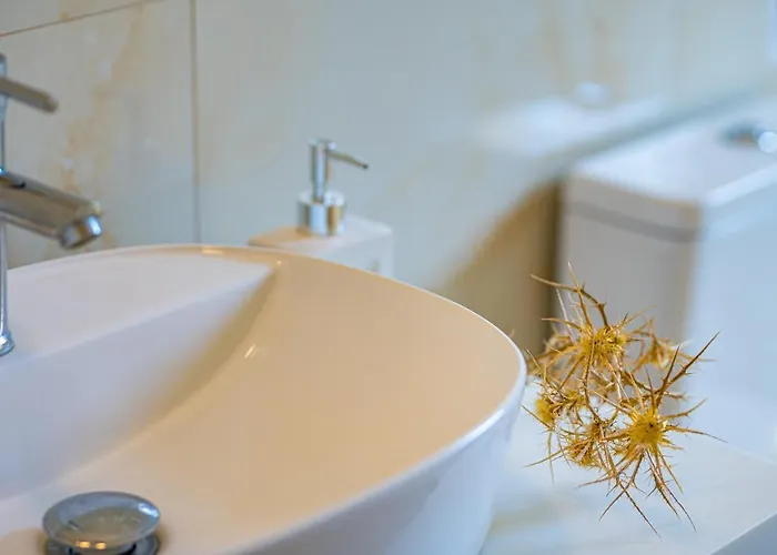 Nissi Collection Argassi