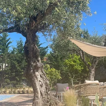 Ξενοδοχείο με διαμερίσματα Nissi Collection Αργάσι